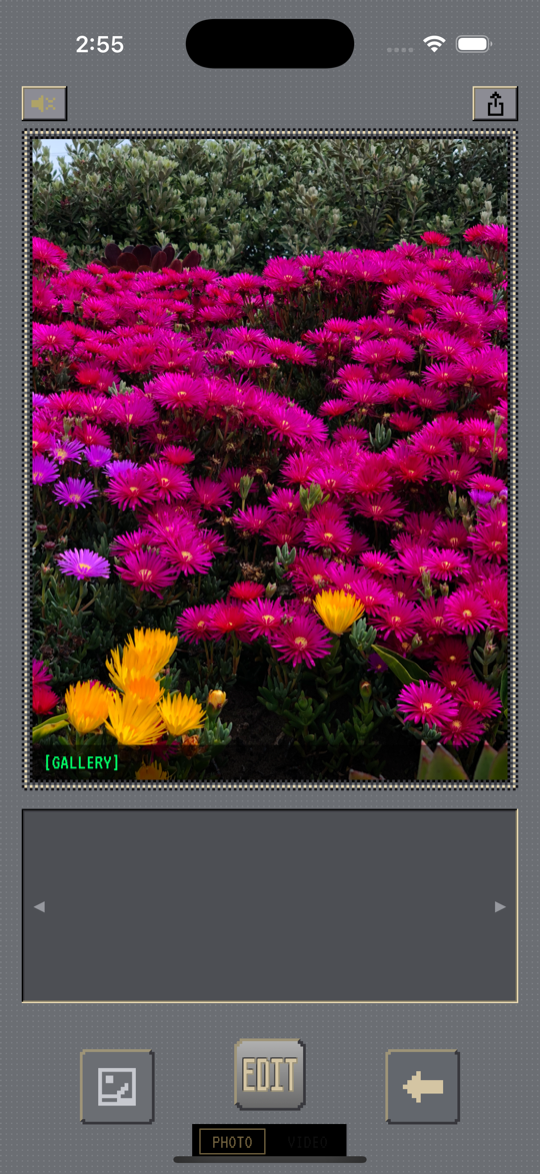 gallery edit